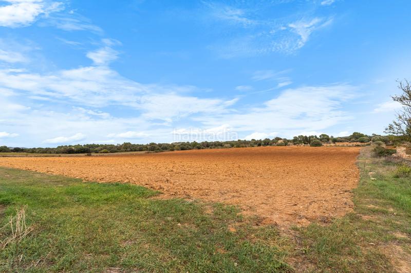 Foto 42acd594-5059-47ec-97de-ee46285f6d5c. Casa en Felanitx poble Felanitx