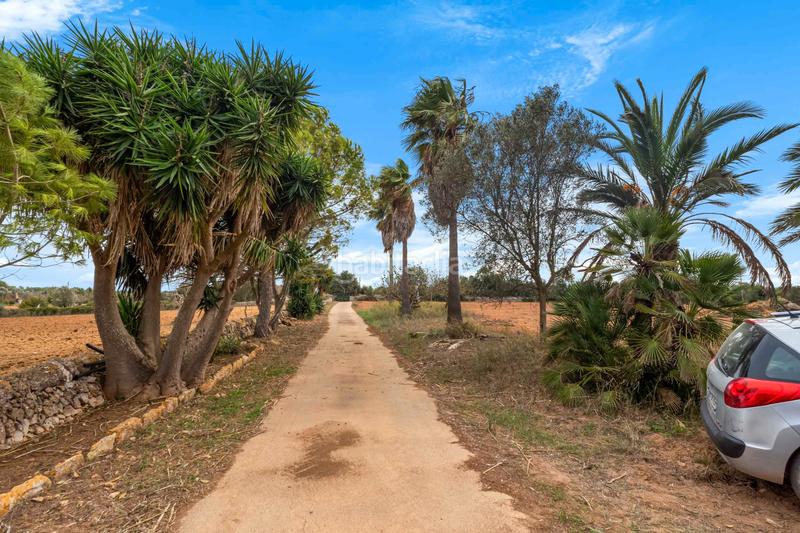 Foto acf458eb-eada-4f71-9f6b-d8d1487cb0c6. Casa en Felanitx poble Felanitx