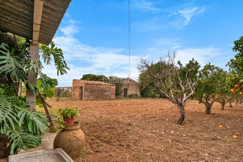 Foto 0bff1748-fff6-41e6-9d5f-3e0e4d683b14. Maison dans Felanitx poble Felanitx