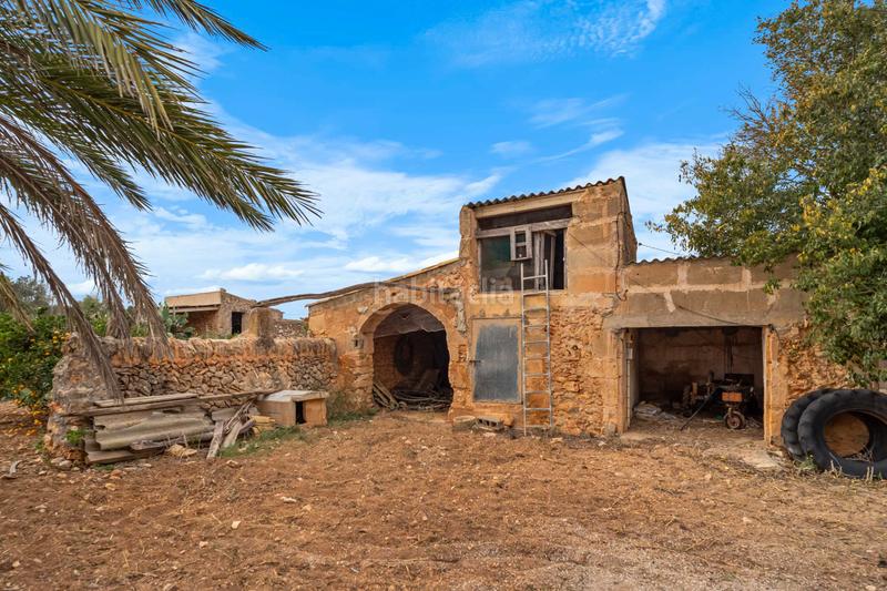 Foto 877ddf67-9f26-469a-8843-ea2e3cecc23f. Maison dans Felanitx poble Felanitx