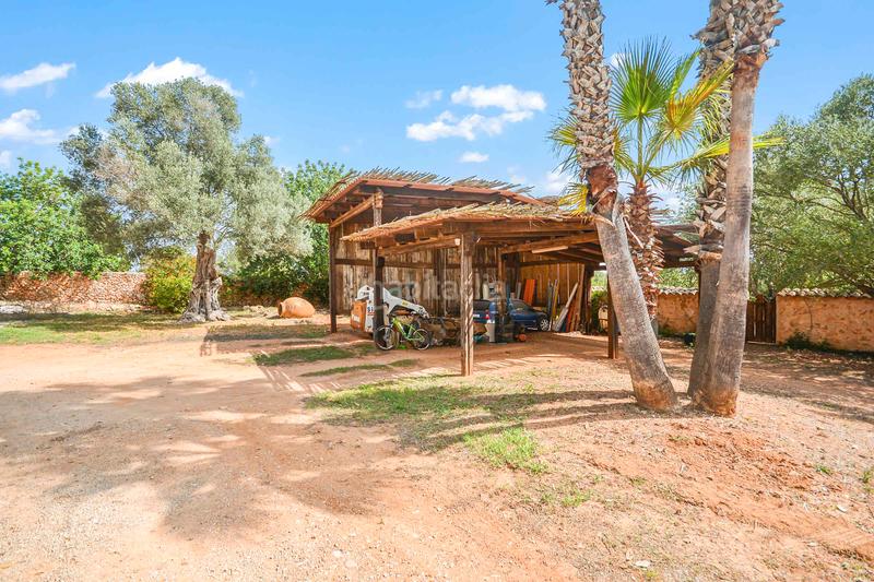 Foto 51e7cf64-26c0-4ba6-a9d8-965eee625ffd. Casa en Felanitx poble Felanitx