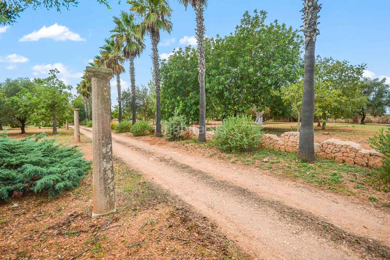 Foto d5b18b7f-b544-48ee-b2ac-0774bc187ae4. Casa en Felanitx poble Felanitx