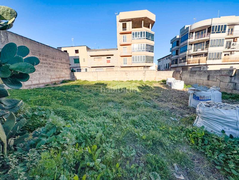 Foto f28d5ffa-2123-4d72-8511-8375b7e06f37. Terreno residenziale in Manacor centre Manacor