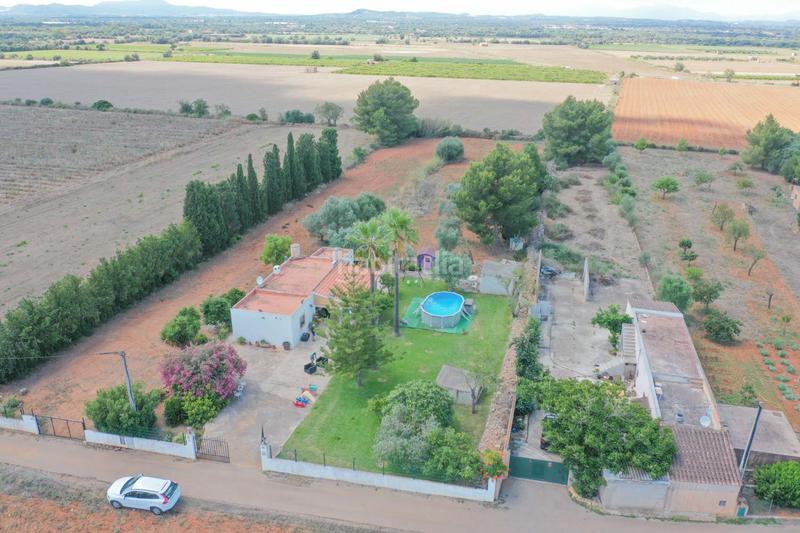 Foto 956fb396-cd84-447c-b3e8-43d3a23f07be. Casa in Felanitx poble Felanitx