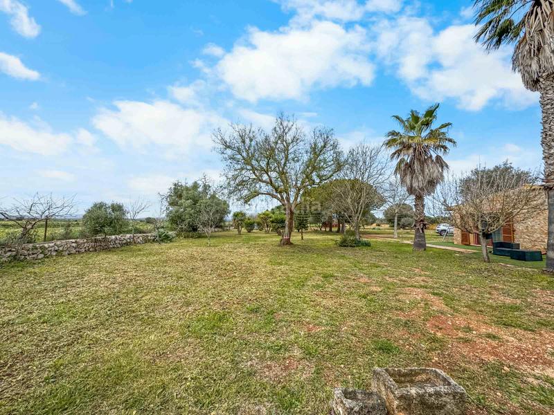 Foto 1bacd46c-71ed-45b3-9d6a-a5a28e547892. Haus in Felanitx poble Felanitx