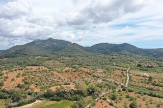 Terreny residencial a Felanitx Poble