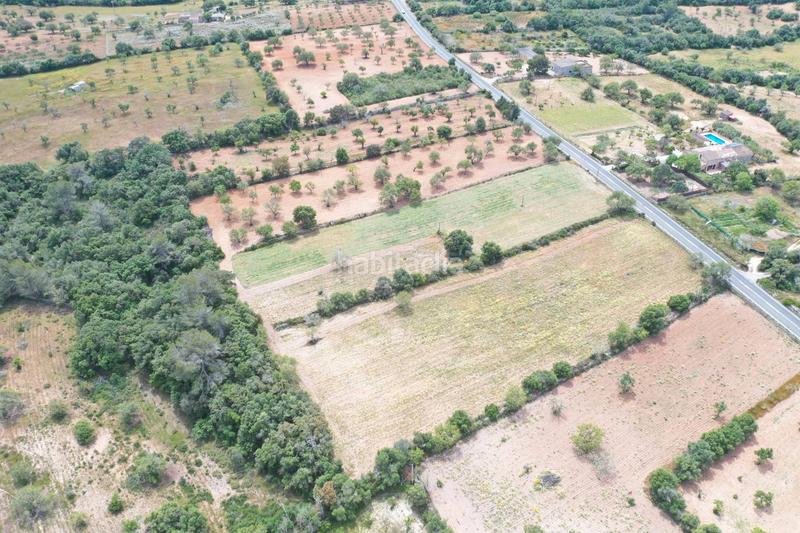 Foto 3f7cf35c-2943-402b-b7cd-d38ca5210dca. Terreno residenziale in Felanitx poble Felanitx