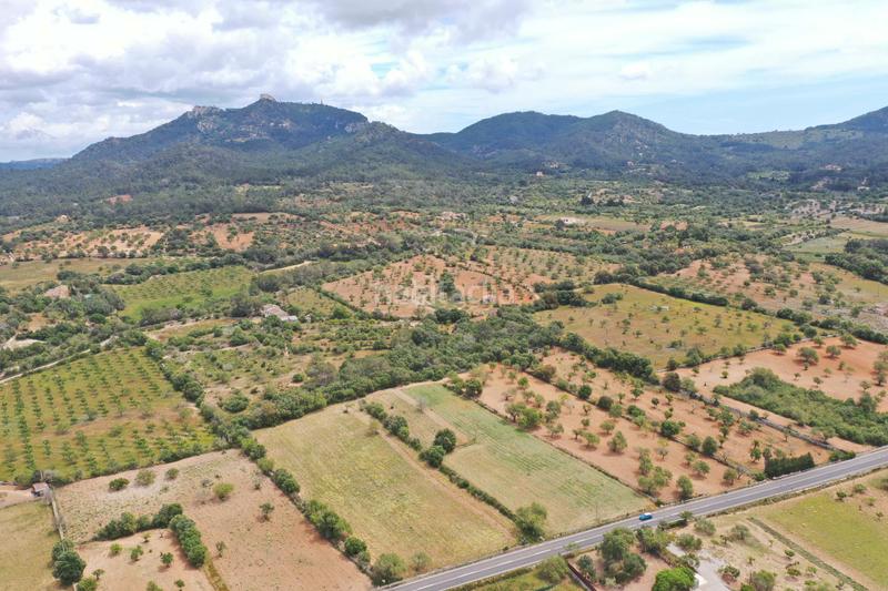 Foto ed85146f-67d8-4f8e-ac27-394a4099472b. Terreno residenziale in Felanitx poble Felanitx