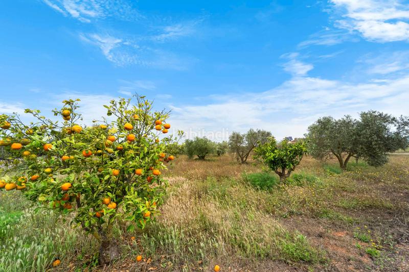 Foto ab113234-3fd7-472a-a011-ca16fafeadba. Casa in Felanitx poble Felanitx
