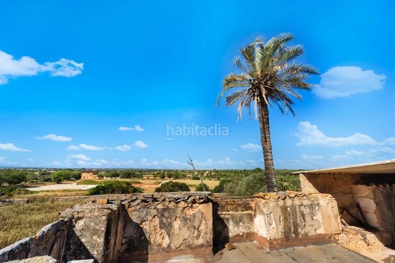 Foto 98c53f85-82f8-4f0b-89bb-cfdb88b57da8. Maison dans Campos