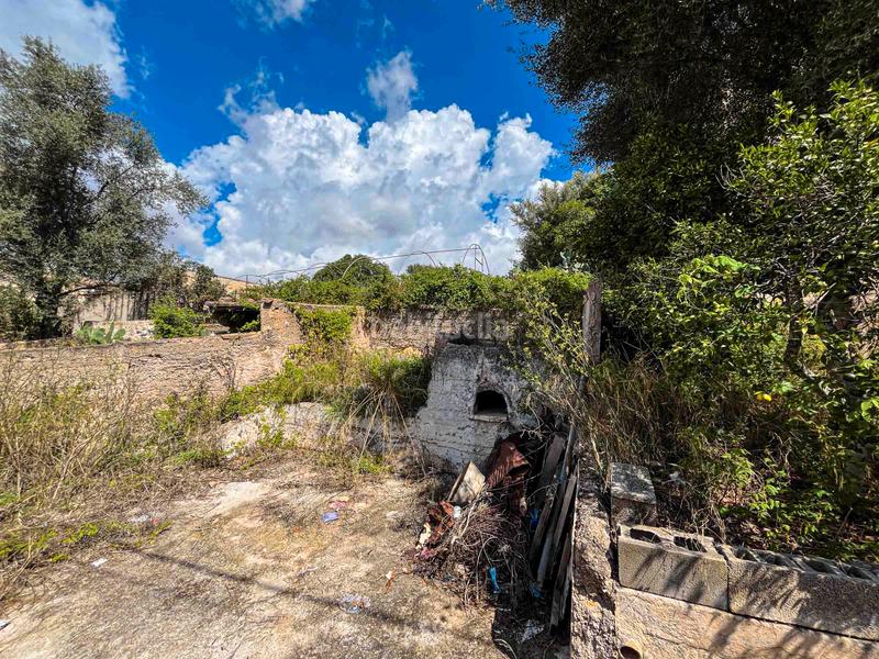 Foto 831e2b65-274e-4ccb-b846-877bf1053294. Residential plot in Felanitx poble Felanitx