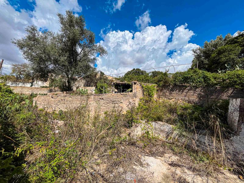 Foto efcc18ef-7676-4104-b9f8-b050f85be177. Residential plot in Felanitx poble Felanitx