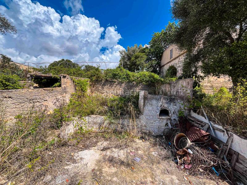 Foto f0008682-1ff6-4618-8da6-549d50872ec4. Residential plot in Felanitx poble Felanitx