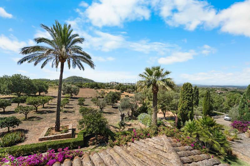 Foto 3d3e2a1d-85ce-4c25-8be2-efb1aba8ef8b. Casa a Felanitx poble Felanitx
