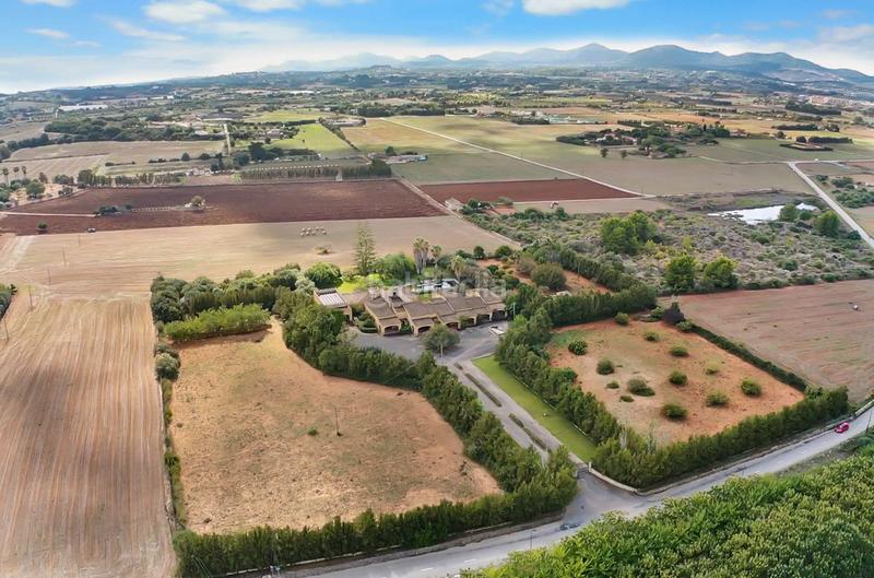 Foto ed8e603b-2a88-4aeb-98d4-b0f5ef67ec9d. Maison dans Manacor centre Manacor