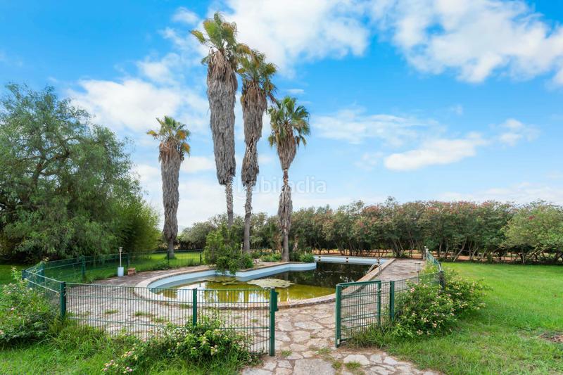 Foto ff01dafe-5a07-40f6-b224-41f8e40029c8. Maison dans Manacor centre Manacor