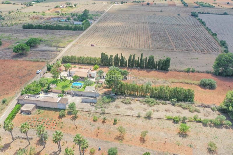 Foto e830947a-2a24-4a17-8e31-fa82ea7d5037. Masia amb aparcament piscina a Felanitx poble Felanitx
