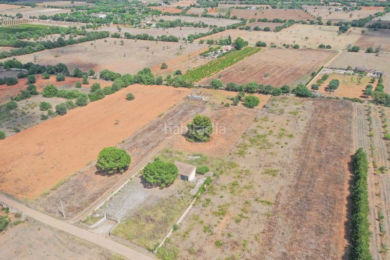 Foto fcc8e418-a919-40de-bf0a-e5009b716345. Masia amb aparcament piscina a Felanitx poble Felanitx