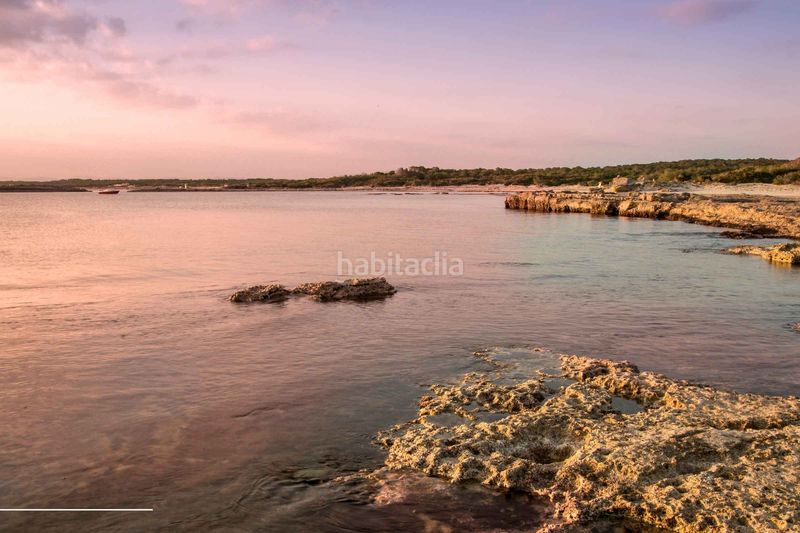 Foto 7a197bfd-2e44-485f-92f7-878cdb4bb2c8. Casa en Ses Salines poble Ses Salines