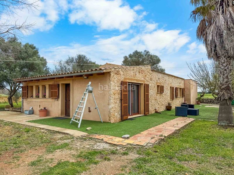 Foto 633bd780-70ee-4cc9-b135-44daf59eaa6f. Masia a Felanitx poble Felanitx