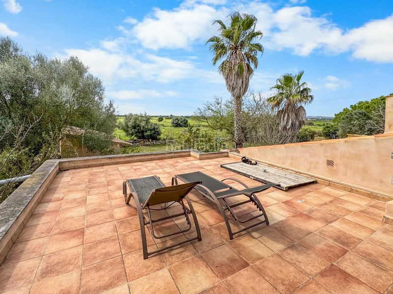 Foto 744e7854-6c6f-41ae-815d-4a3befff7d30. Masia a Felanitx poble Felanitx