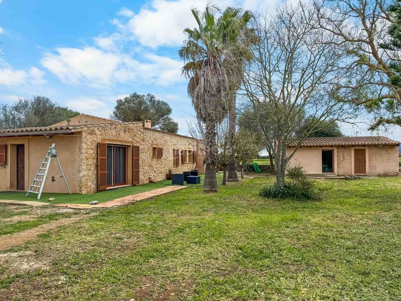 Foto 8976101d-0bd4-4d60-8753-15162a37643a. Masia a Felanitx poble Felanitx