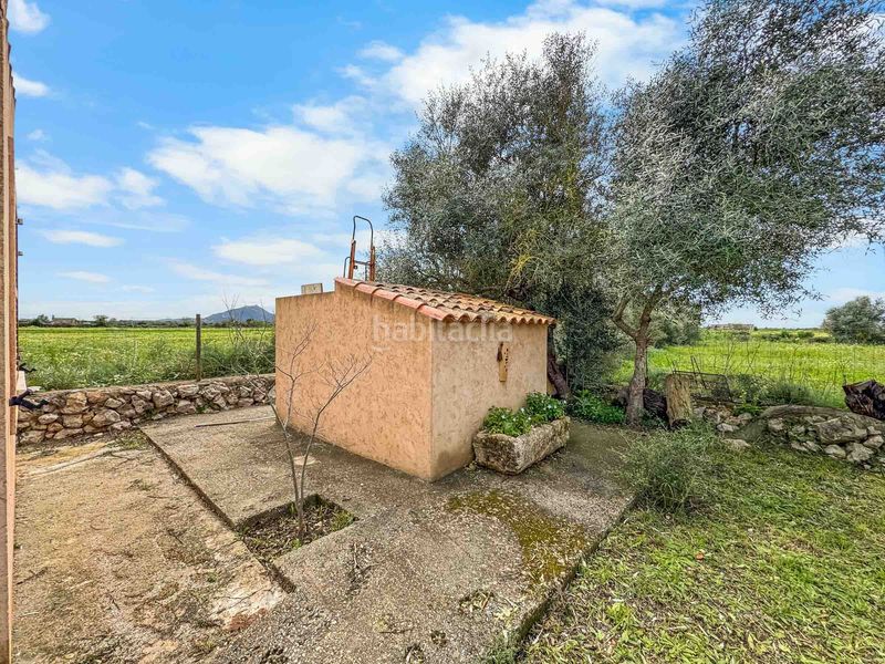 Foto b5e589f1-b7c3-4395-a2ee-38ef99e0c7b5. Masia a Felanitx poble Felanitx