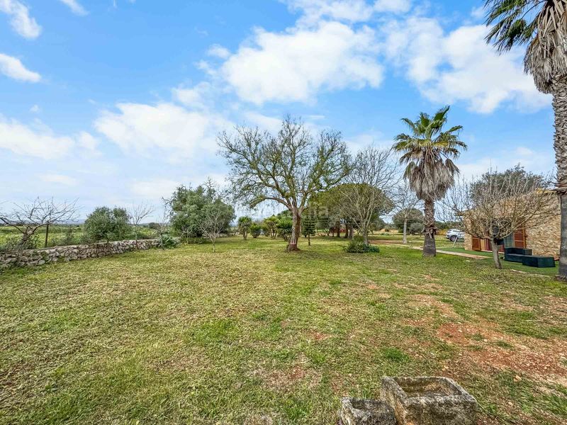 Foto c508e32e-e5b7-4c1a-bb78-8311b52de317. Masia a Felanitx poble Felanitx