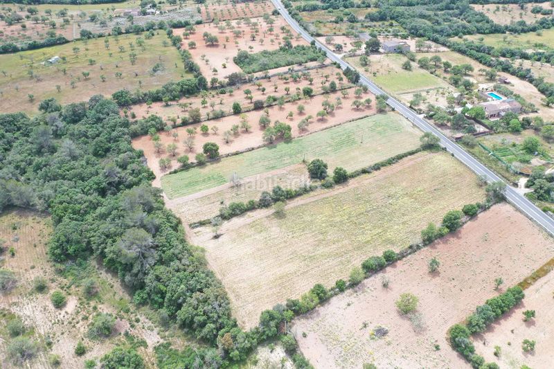 Foto b05dd1b5-d22a-4581-a98c-e4434bdcb85d. Terreny residencial a Felanitx poble Felanitx