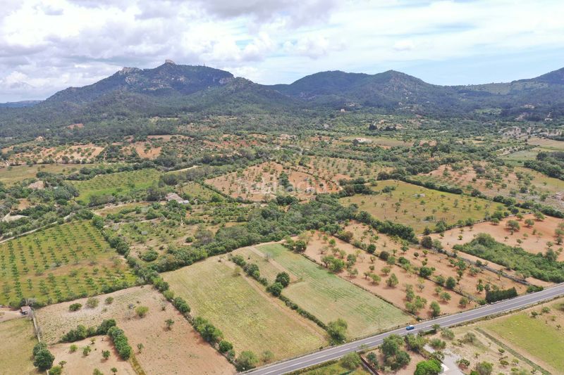 Foto c043d25f-1718-495a-b571-ce705c9d5396. Terreny residencial a Felanitx poble Felanitx