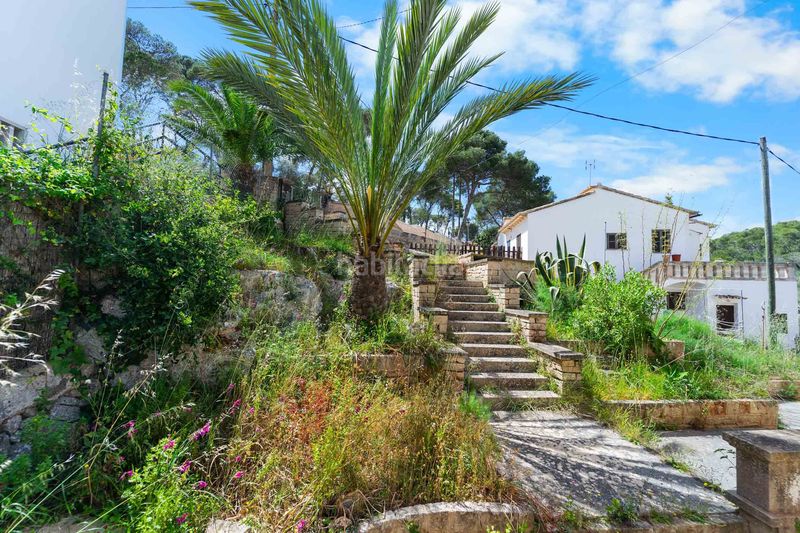 Foto b1e539fd-6041-4855-a99e-10825e2f9ec6. Masia a Cala Figuera Santanyí