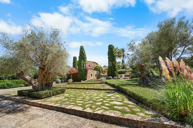 Foto f96f37e0-eb74-4618-9137-b5d89289f11b. Masia amb aparcament piscina a Felanitx poble Felanitx