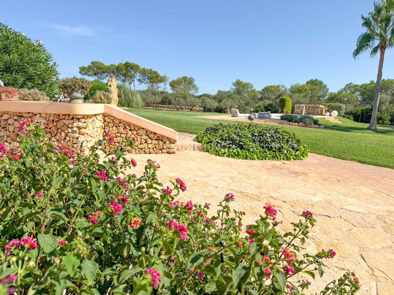 Foto 1a1071e6-4b09-450a-8463-5f29932cb74d. Masia amb aparcament piscina a Felanitx poble Felanitx