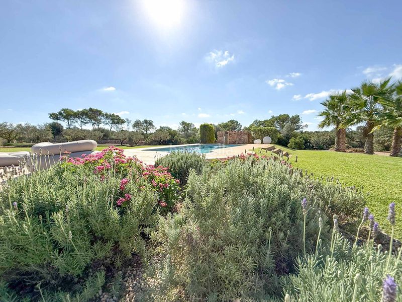 Foto 64f47534-6d74-4995-9606-87647354396f. Masia amb aparcament piscina a Felanitx poble Felanitx