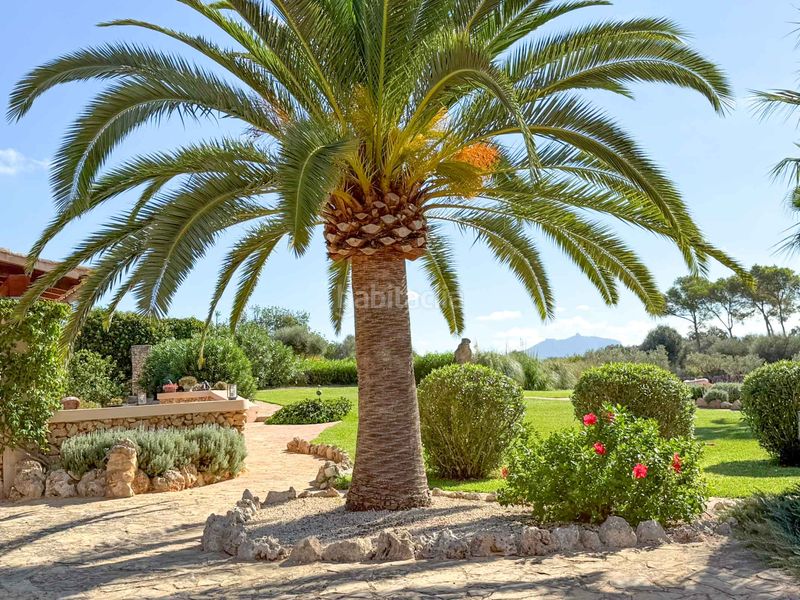 Foto bcd80544-8798-41a9-b0b8-8980a3402dee. Masia amb aparcament piscina a Felanitx poble Felanitx
