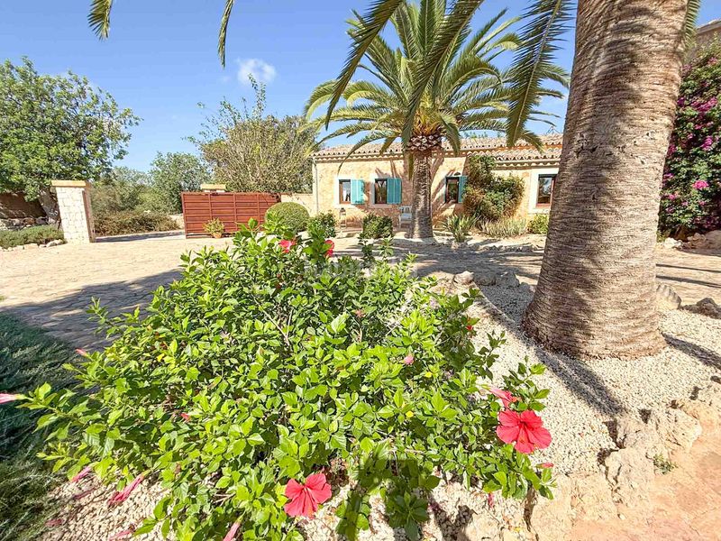 Foto ed1a279d-b502-4716-8c6d-cfe6ff556b7d. Masia amb aparcament piscina a Felanitx poble Felanitx