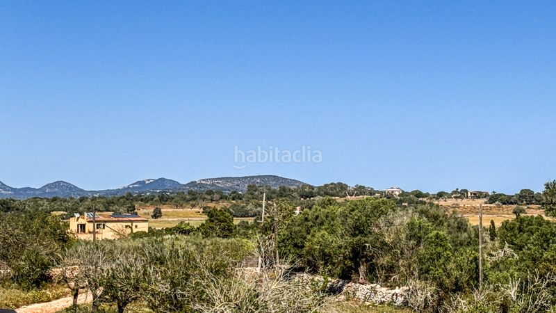 Foto e7cd0986-c5e2-4eea-8450-27fd753d0ce5. Casa amb calefacció aparcament piscina a Ses Salines poble Ses Salines