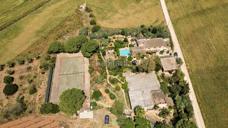 Foto 4068ed52-f80b-4b45-80be-34c1205ffe8d. Masia amb calefacció aparcament piscina a Campos poble Campos