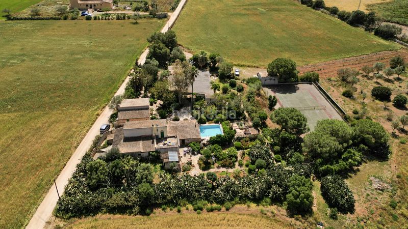 Foto bc1f77fa-9719-4424-ab42-ed4cc826547e. Masia amb calefacció aparcament piscina a Campos poble Campos