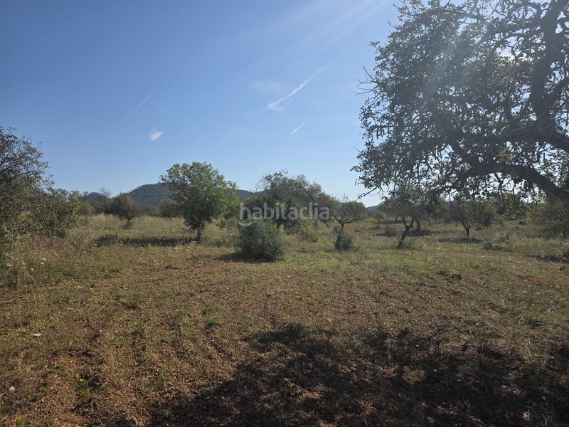 Foto 5518b2fc-1b70-47da-b3b8-3fda9ec50a59. Terreny residencial a Manacor centre Manacor