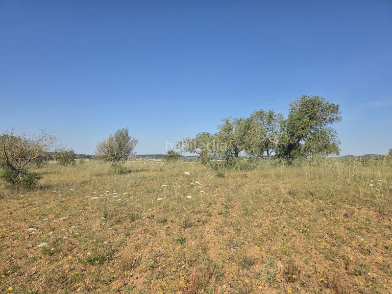 Foto a34bbaf3-9538-444b-a8b7-2ab548830d4c. Terreny residencial a Manacor centre Manacor