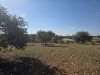 Terreny residencial a Manacor Centre