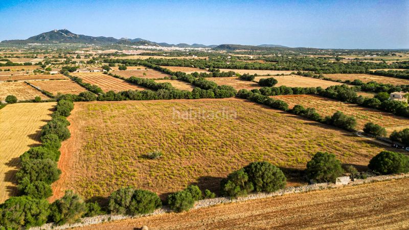 Foto c03c5038-409c-4aa9-bdd6-429006742c17. Terreny residencial a Manacor centre Manacor