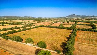 Terreny residencial a Manacor Centre