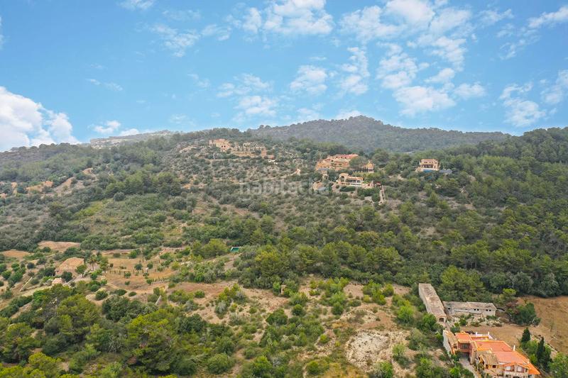 Foto 1f8c0283-c4fa-4a6a-90db-d6cdf8dcb73b. Residential plot in Felanitx poble Felanitx