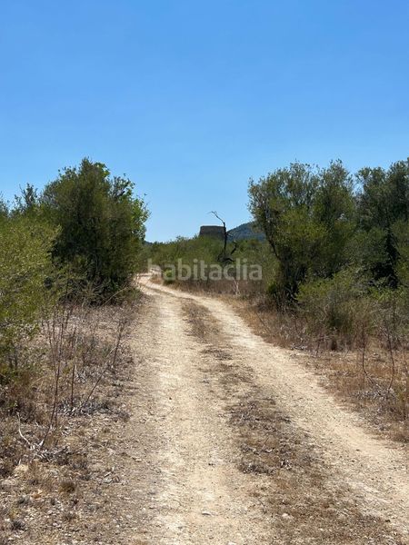 Foto 98191497-32a6-4704-8c87-fdb2d705753d. Terreny residencial a Manacor centre Manacor