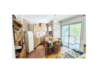 Pis a Sector puigmal 2. Piso 1 habitación venta empuriabrava