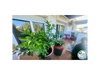 Appartement à Sector sant mori 12. Amplio apartamento cerca de la playa y los comercios
