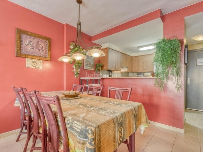 Foto 047d9ebf-62cc-4692-b65e-755598ac130e. Pis a Salatar Roses