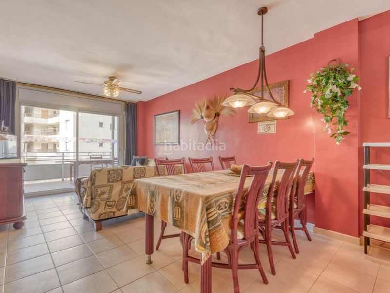 Foto 4748b57b-f6a9-41ce-ad71-9e1f298dbc09. Pis a Salatar Roses